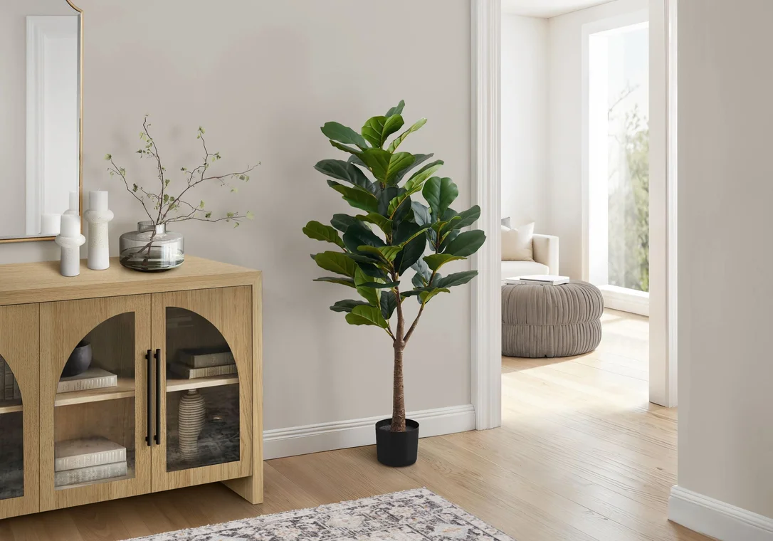 dreameehome12357366