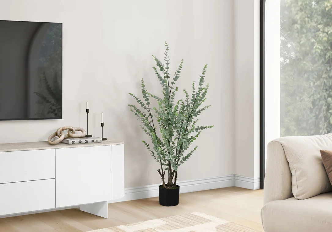 dreameehome12357509
