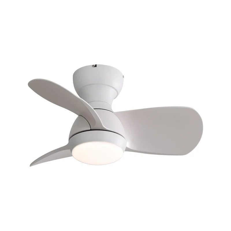 dreameehome2195466