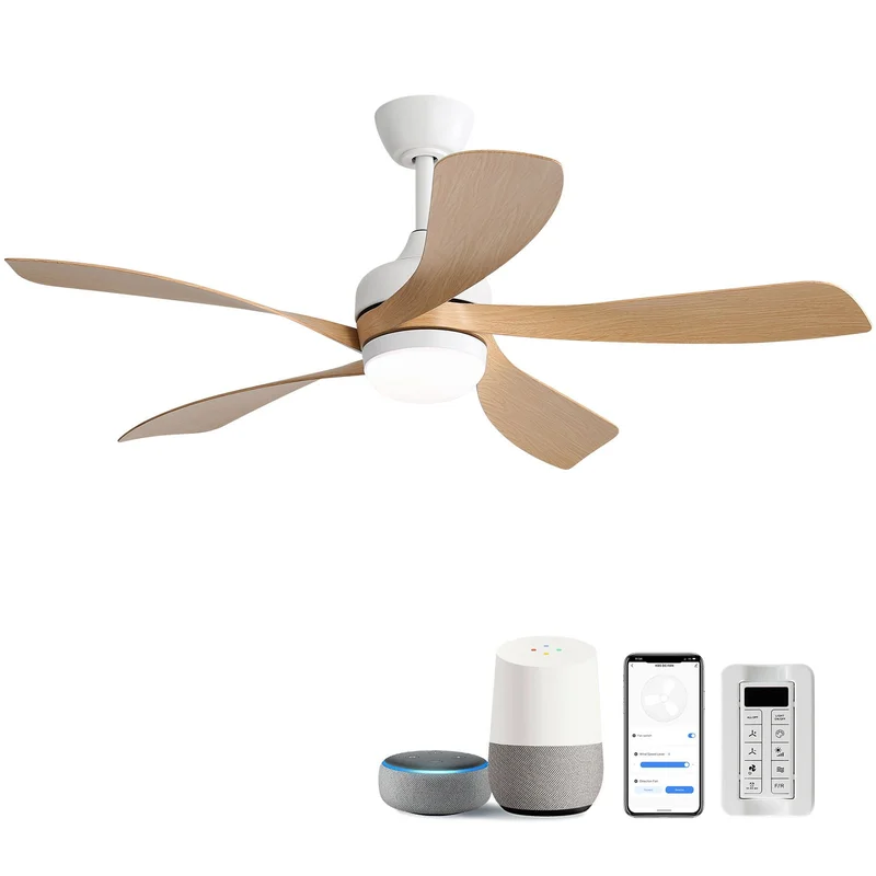 dreameehome2220293