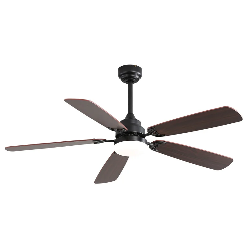 dreameehome2275861
