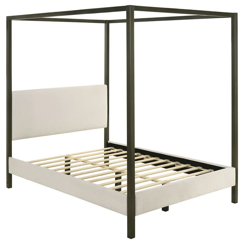dreameehome3147584