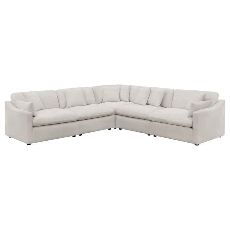 dreameehome3147981