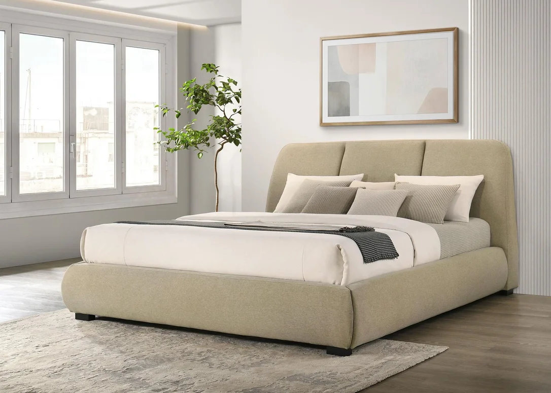 dreameehome3236446