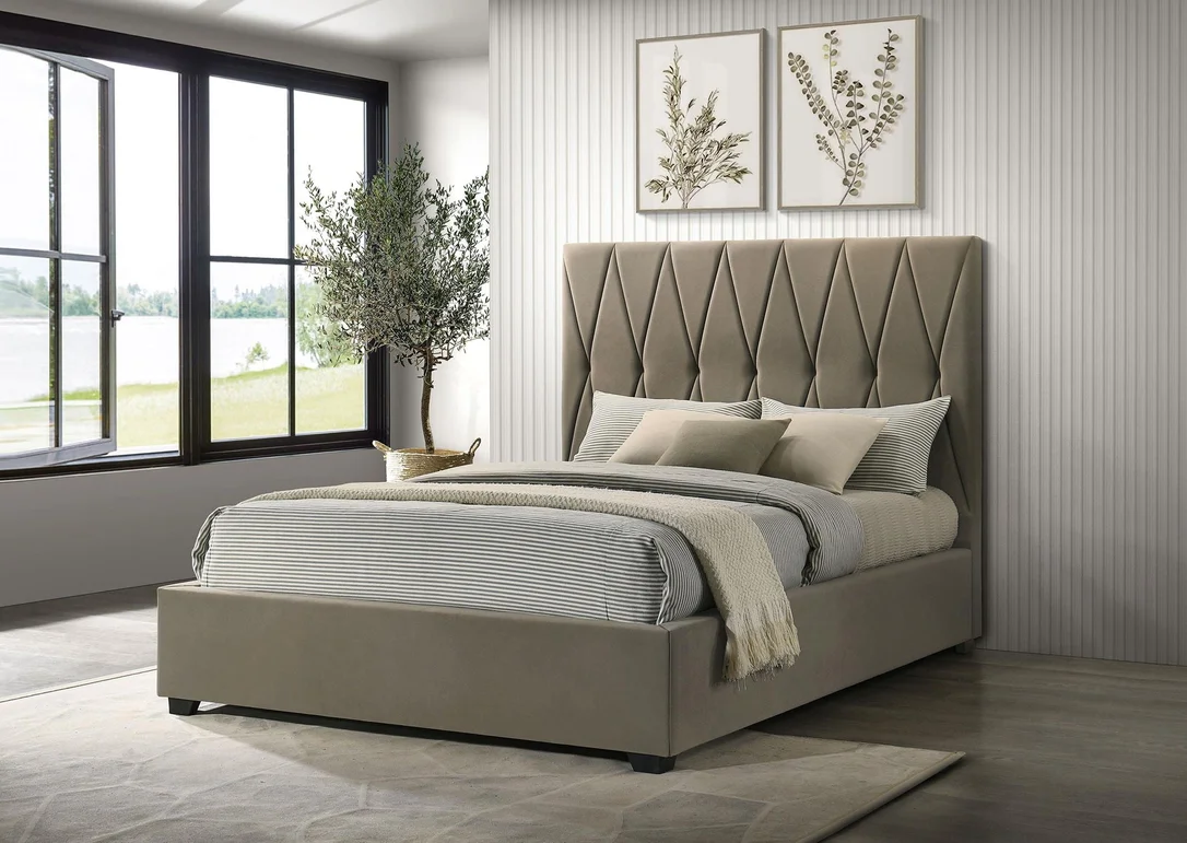 dreameehome3239482