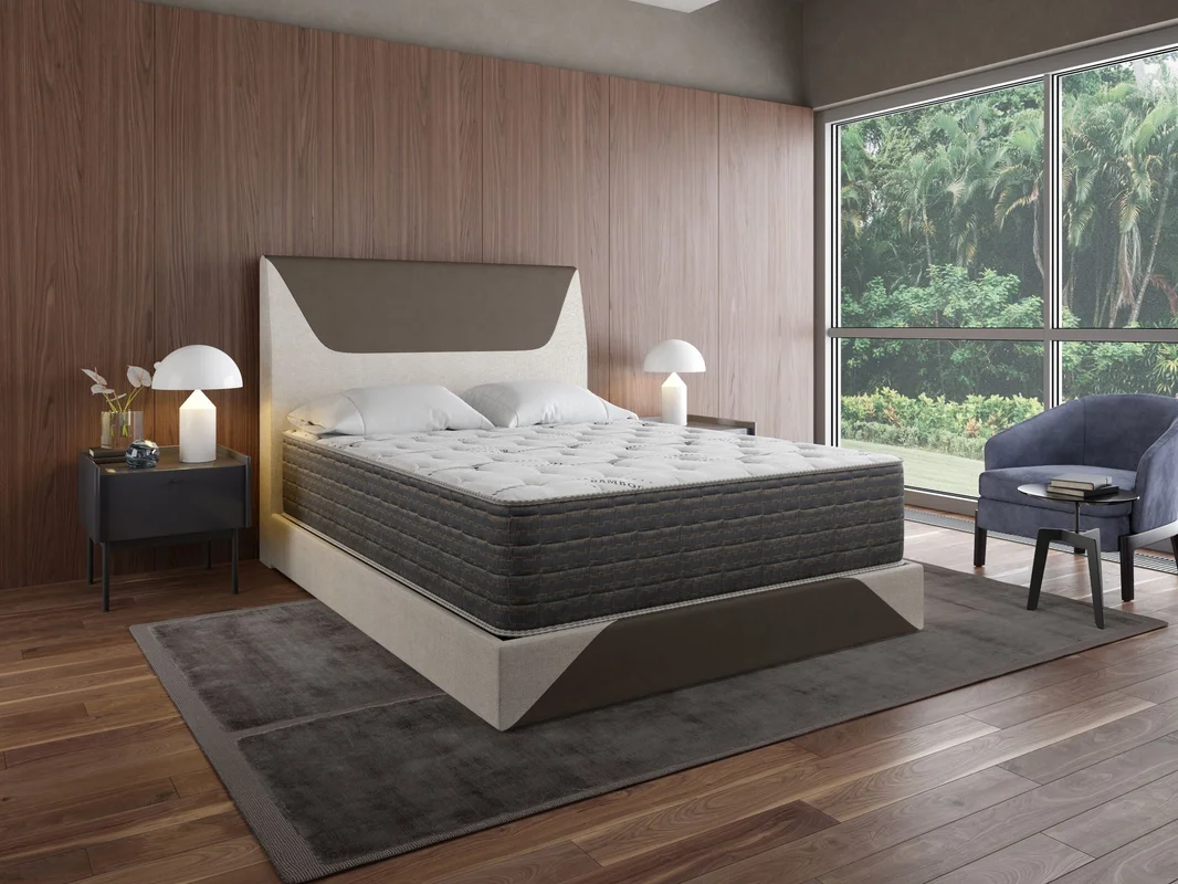 dreameehome3259298