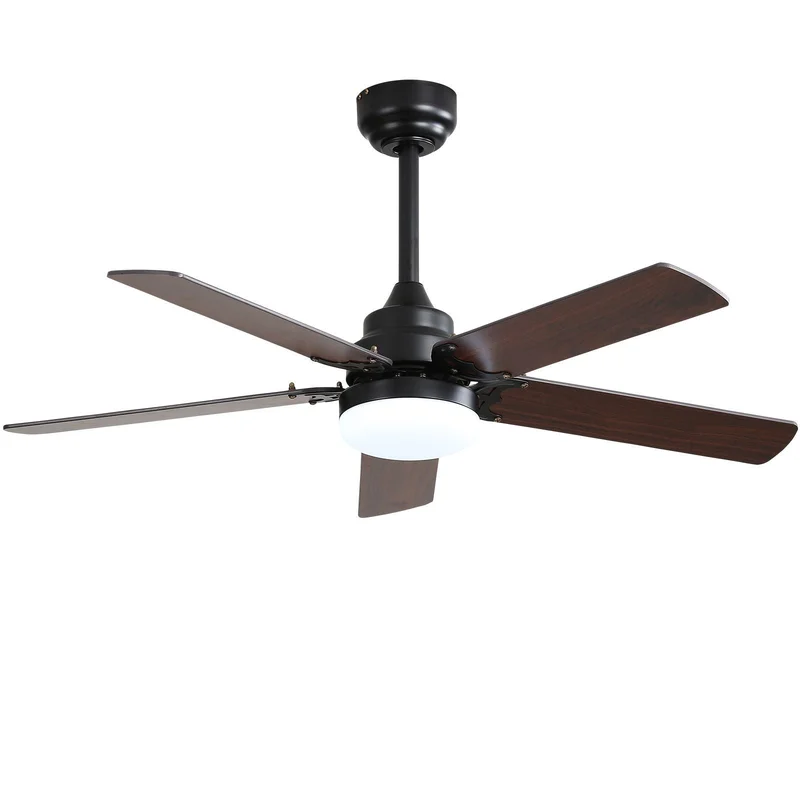 dreameehome4255021
