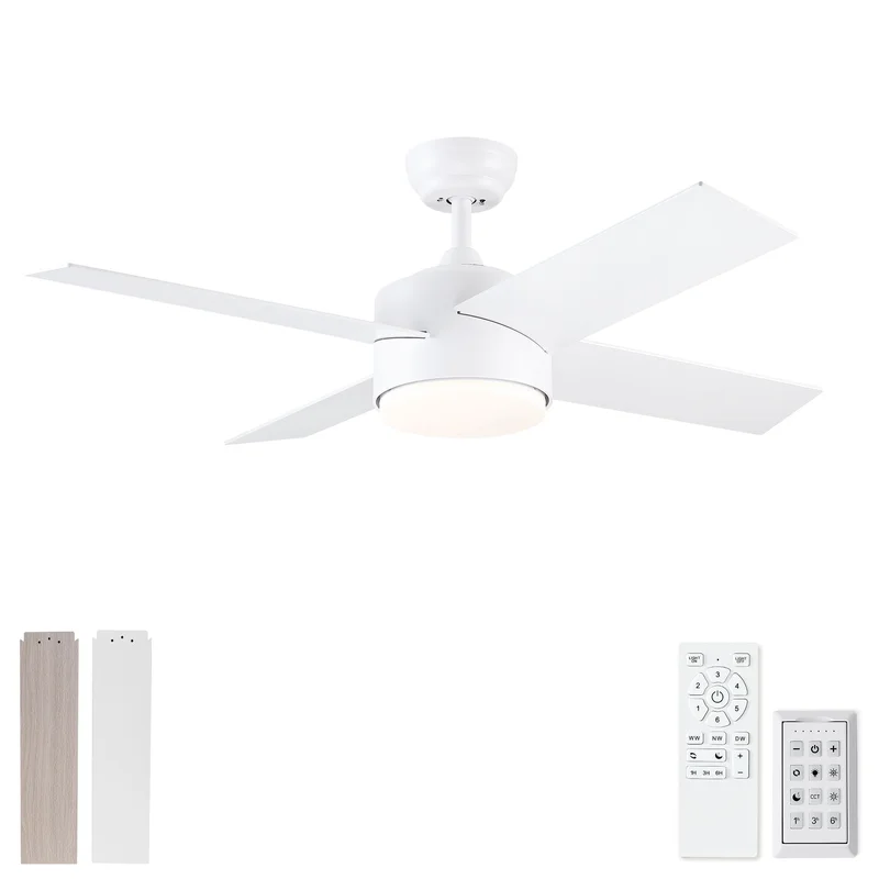 dreameehome4258027