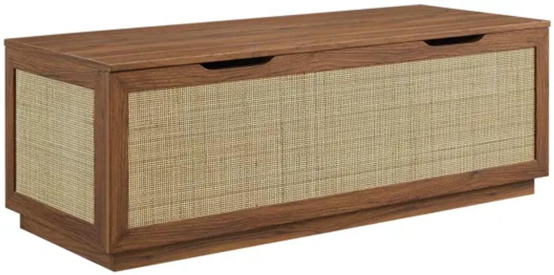 furniture4-359397