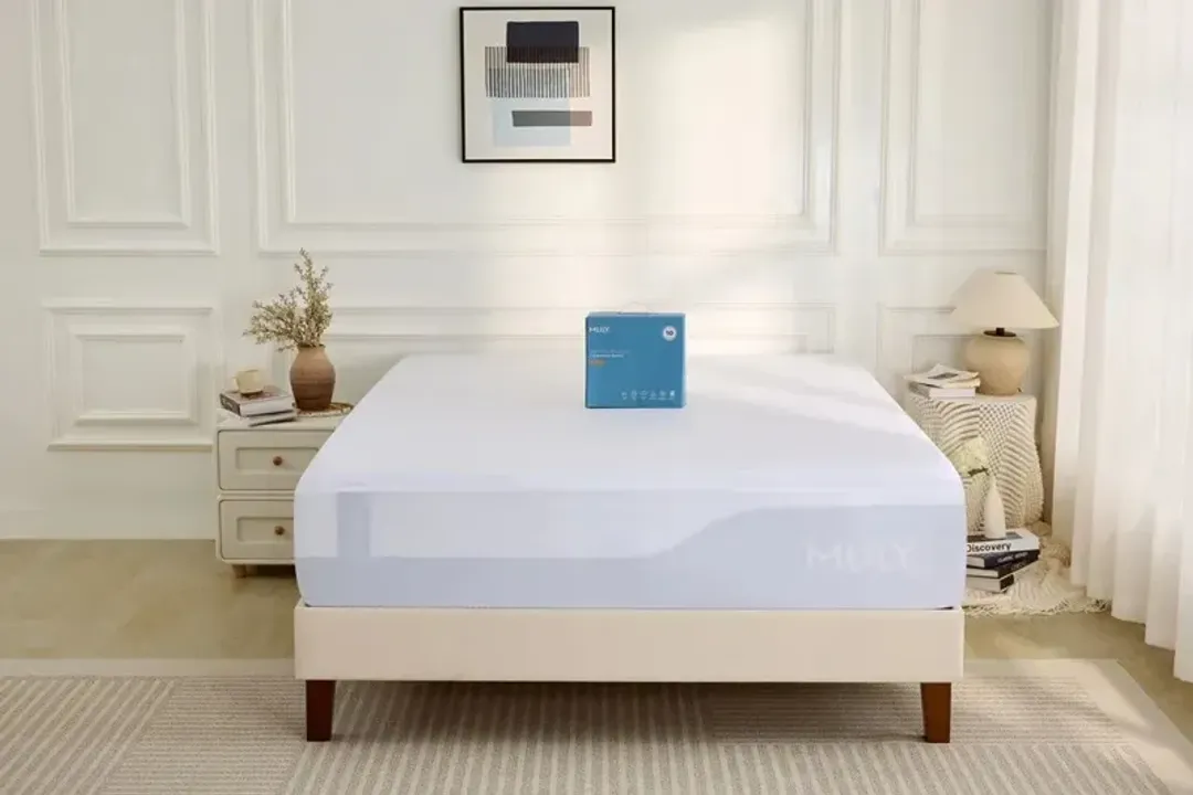 furniture4-388988