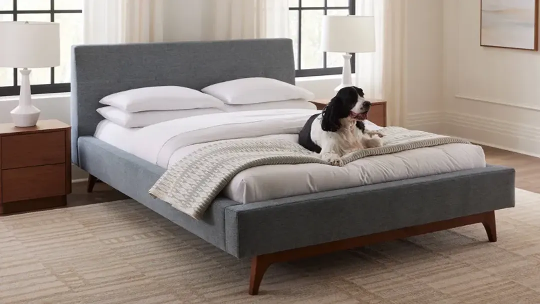 furniture4-494573