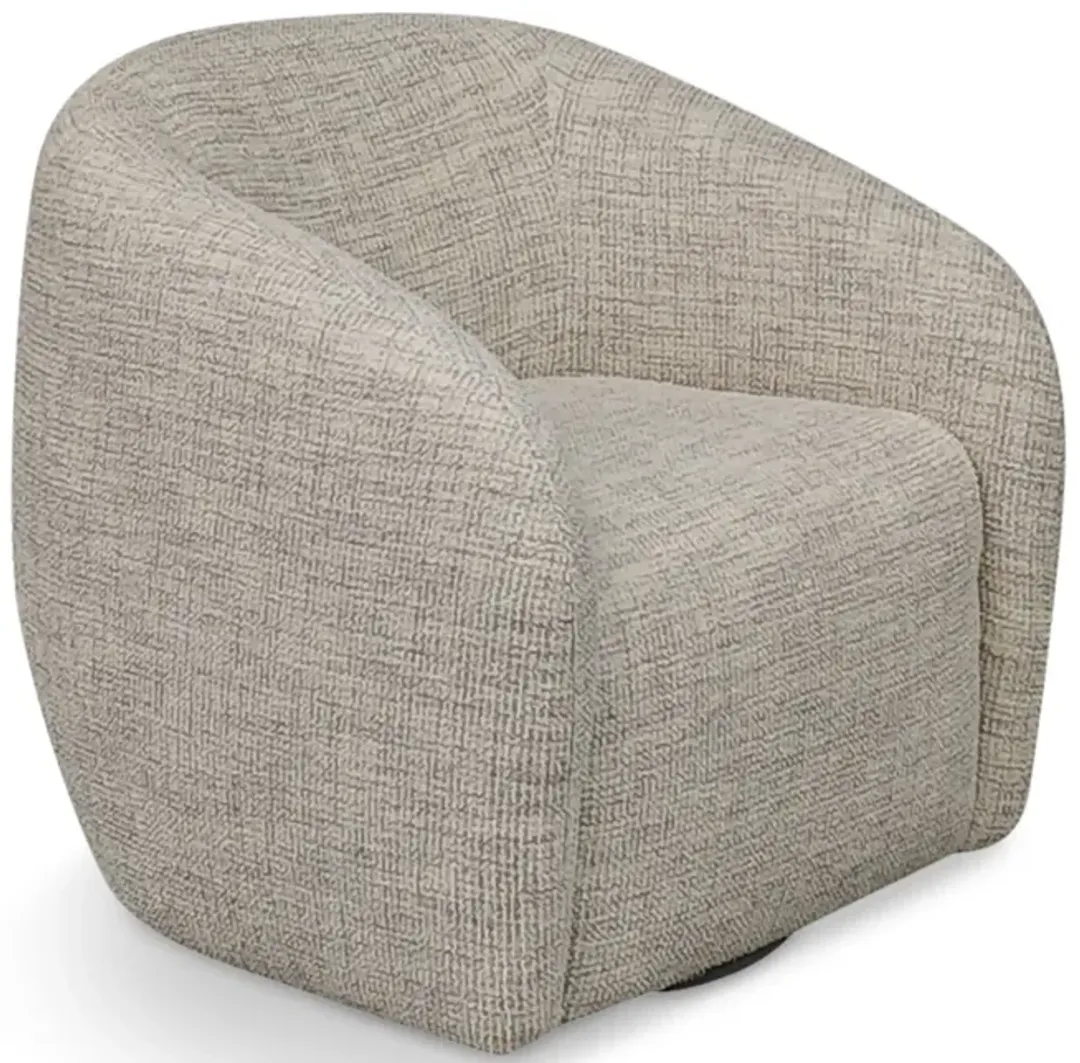 furniture5-529355