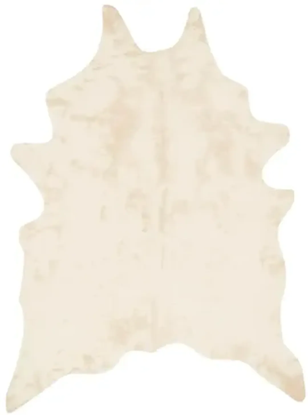 furniture6-558644