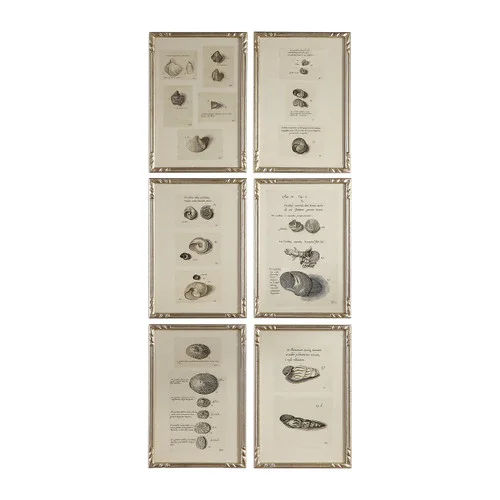 studiolx1-1155