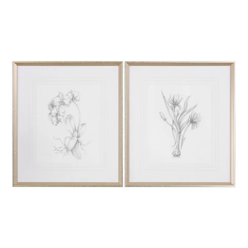 studiolx1-26153
