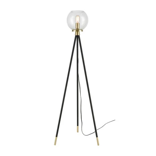 studiolx11-416139