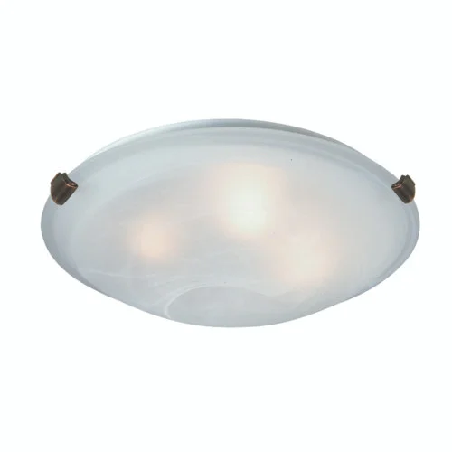 studiolx2-39435