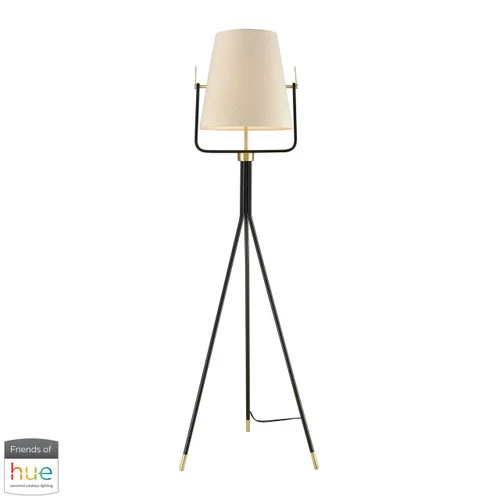 studiolx3-22361