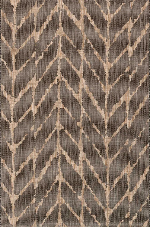 studiolx5-50146