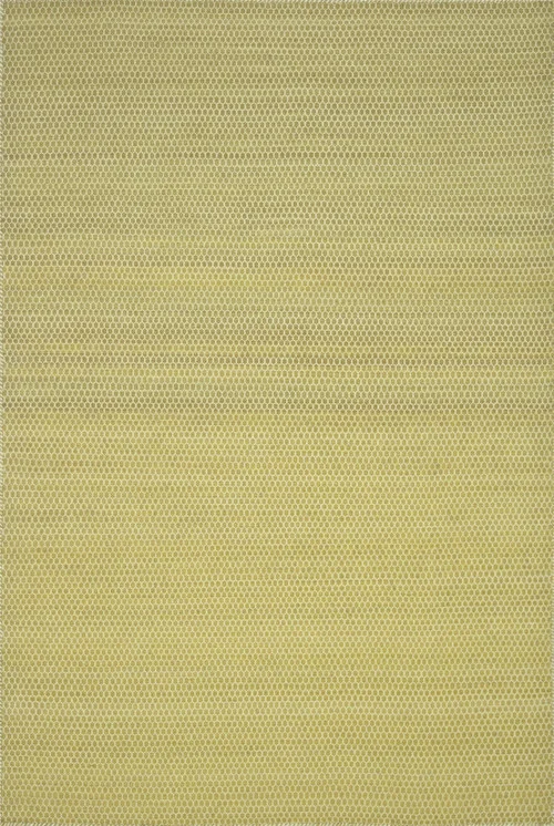 studiolx5-68319