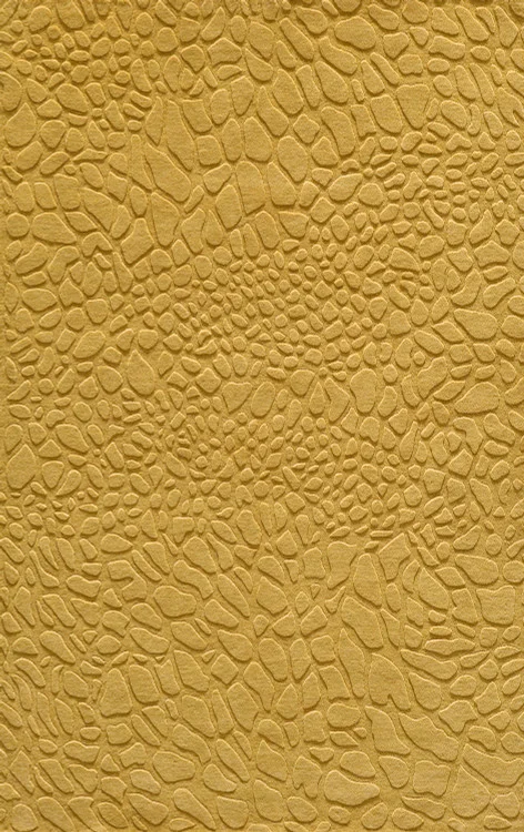 studiolx6-422368